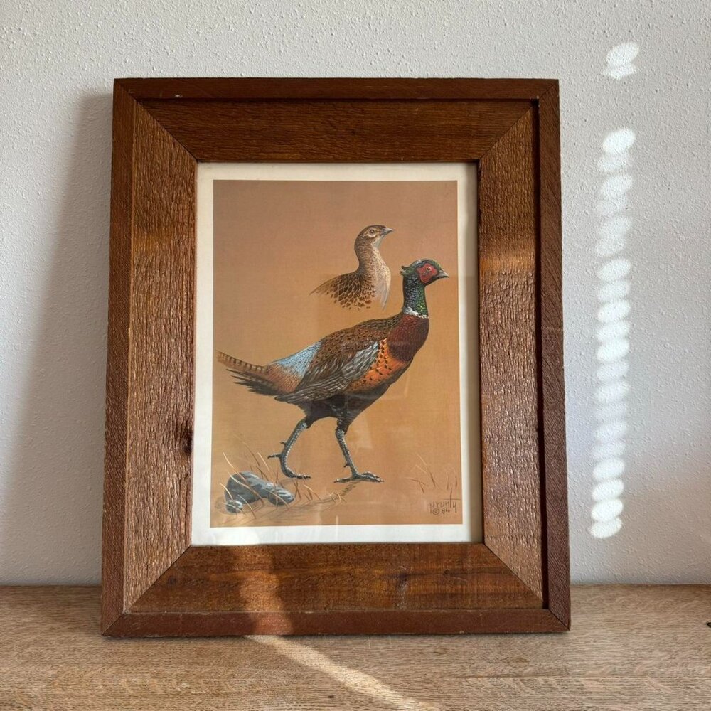 Vintage Pheasant Framed Print by Richard Prunty 1984